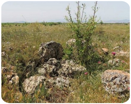 Grupo Baul Dolmen 197