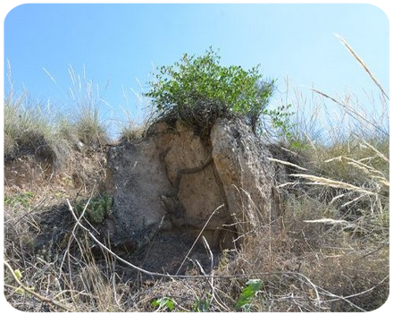 uno de los dolmen recién discubiertos