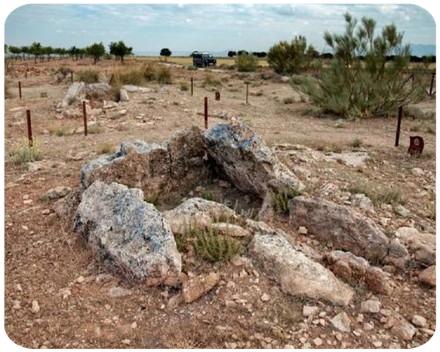 dolmen en el Llano de Olivares Dolmen 110