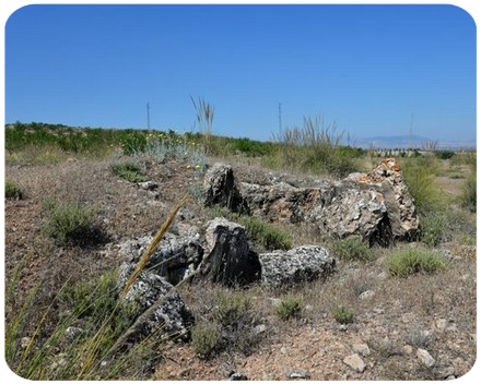 Necropolis Torrecilla Dolmen 191